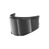 Shark Evo-GT Smoke Visor